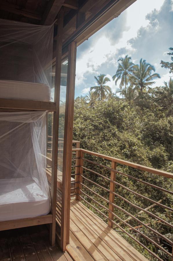 Mendihuaca Surf Camp Hostel Guachaca ภายนอก รูปภาพ